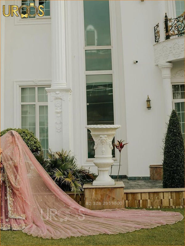 Rose Whisper – Blush Veil with Gilded Scallop Trail